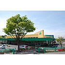 スーパー「ツルヤ臼田店まで683ｍ」