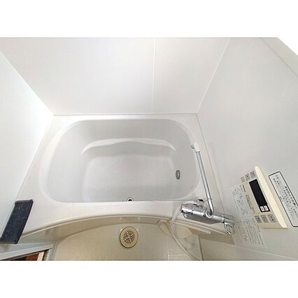 グリーンセイシェルN_その他_1