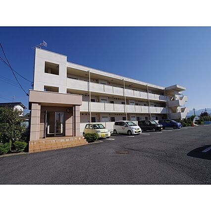 パインプラザ_トップ画像