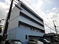 Ｅ・プリムローズ
