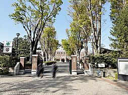 周辺施設の画像