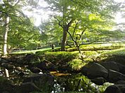 大田黒公園まで500m