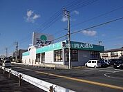 ドラッグスギヤマ三河一宮店 298m