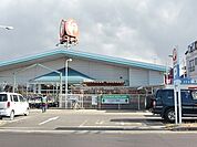 コメリハード＆グリーン宇都宮山本店(ホームセンター)まで862m
