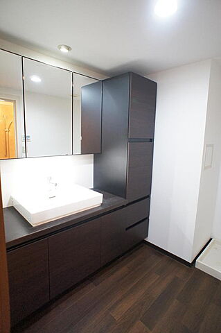 洗面 コスモ志木ステーションビュー 13階/-