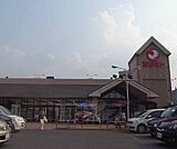 マツモト 荒塚店まで1200m 新鮮な食材が手に入ります。