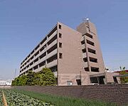 この立地 日当たりは良好ですよ