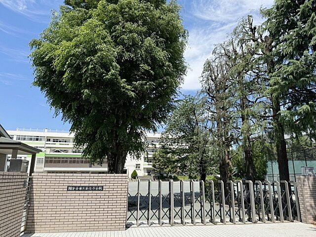 周辺 グローベル ザ・国分寺クリスタ 8階/-