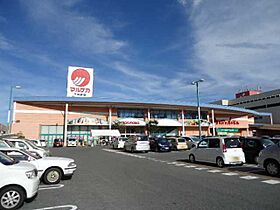 岡山県岡山市南区西市（賃貸マンション1K・1階・30.03㎡） その25