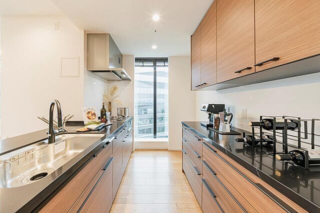 キッチン シティタワー麻布十番 13階/1313