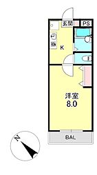 カーペンターハウス1 1階/-