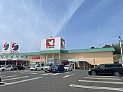 平和堂 甲西店（3929m）