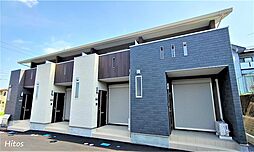 Lupinus （ルピナス）     B