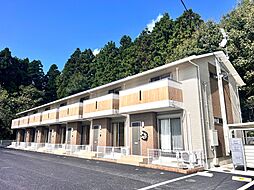 collina（コリーナ）　C