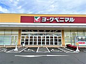 ヨークベニマル小山ゆうえんち店（971m）