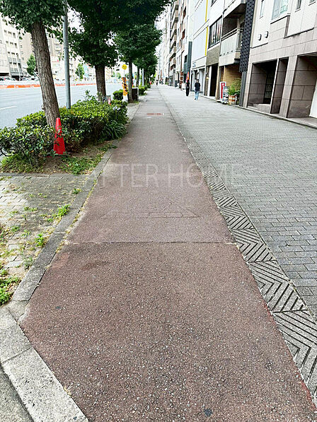 前道(歩道)