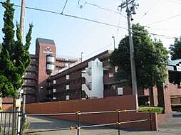 信開ドムス舞崎
