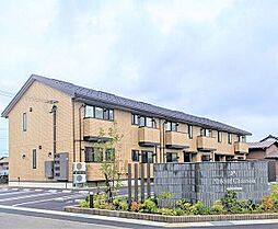 アムール　シェノン