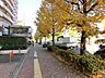 その他：前面道路歩道。