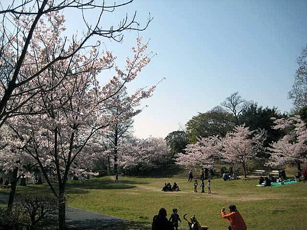 画像17:奥須磨公園