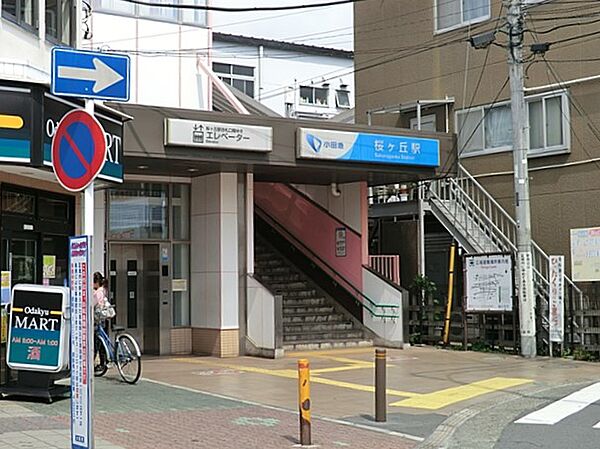 周辺を拡大表示