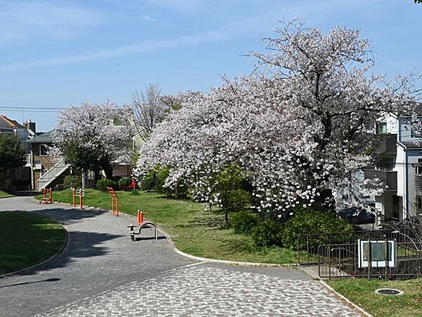 周辺を拡大表示