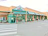 周辺：【マルエツ　愛甲石田店】650ｍ　愛甲石田駅から徒歩10分。駅から近いのにしっかり駐車場も完備されています。品揃え豊富な上にリーズナブルです。