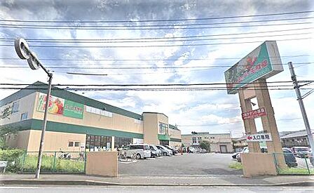 【スーパー生鮮館TAIGA(タイガ) 海老名下今泉店】1120m 生鮮食品の品質が良く特に魚は種類が豊富で安いです。店員さんも感じが良く気持ちよく買い物ができます。