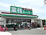 周辺：【業務スーパー　海老名中央店】640ｍ　　冷凍食品が安いです。スーパーに置いていないような海外のお菓子やアジアンな食材や調味料が手に入ります。