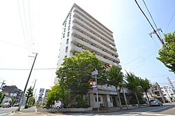 シロハイヌ名神町