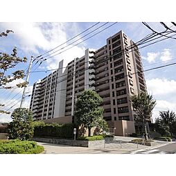 つくばエクスプレス 八潮駅 徒歩12分の賃貸マンション