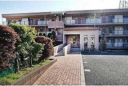 日暮里舎人ライナー 舎人駅 徒歩23分の賃貸マンション