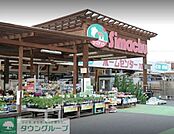 島忠八潮店 493m