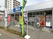 ビックエー 290m