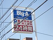 ビッグエー 256m