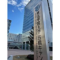 ロイヤルパーク五橋 502 ｜ 宮城県仙台市青葉区五橋1丁目（賃貸マンション1R・5階・24.51㎡） その12