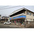 コンビニ「ローソン仙台川内三十人町店まで993ｍ」