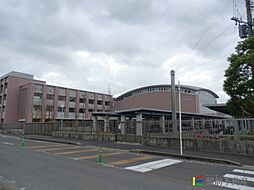 鍋島駅 6.8万円
