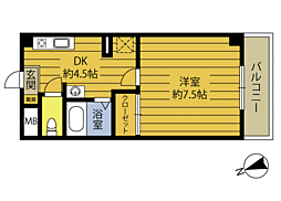グラシアN 4階