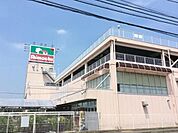 島忠ホームセンター 775m