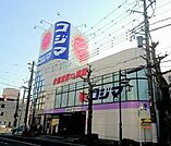 コジマ 813m