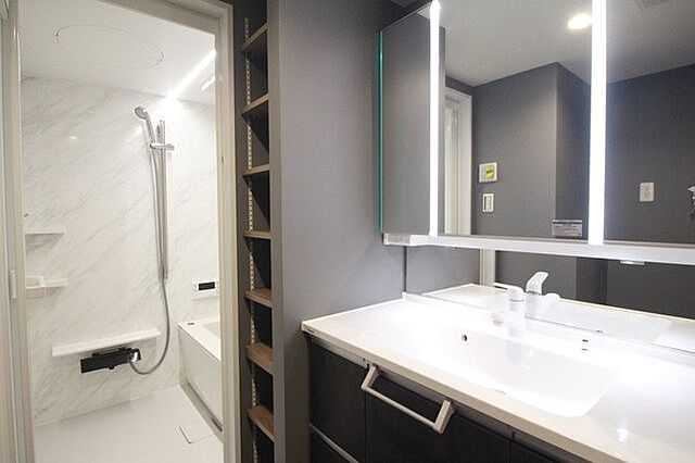 洗面 藤和シティコープ三河安城 9階/-