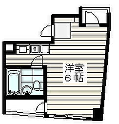 ハウゼティクルス