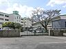 周辺：小学校 800m 流山市立長崎小学校