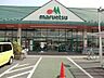 周辺：スーパー 1000m マルエツ幸手上高野店