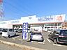 周辺：ドラッグストア 2100m ウエルシア北柏店