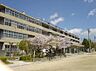 周辺：守口市立梶中学校（817m）