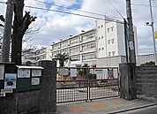 守口市立八雲東小学校（247m）