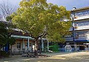 守口市立庭窪小学校（191m）