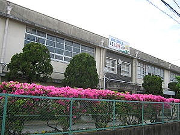 画像19:寝屋川市立第三中学校（93m）